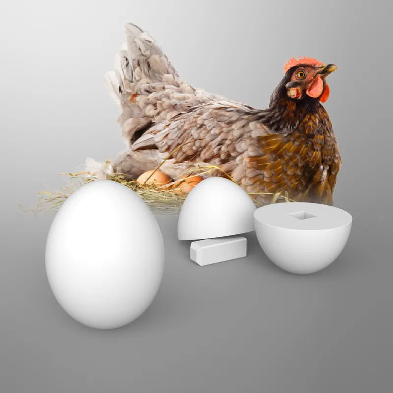 Dummy Chicken Egg for Farmer by RePeteeMe, Download free STL model